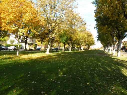  entre les voies du boulevard Jules Guesde